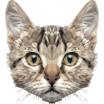 пользователь 