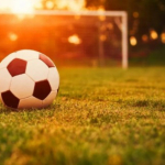 пользователь 