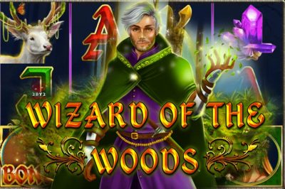 Wizard of the Woods