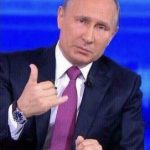 пользователь 