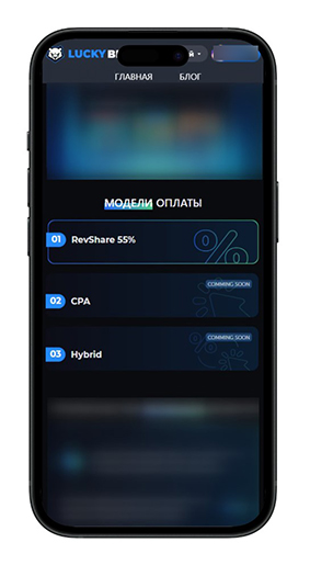 Обзор партнерской программы LuckyBear