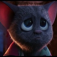 пользователь 