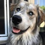 пользователь 