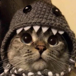 пользователь 