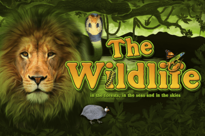The Wildlife