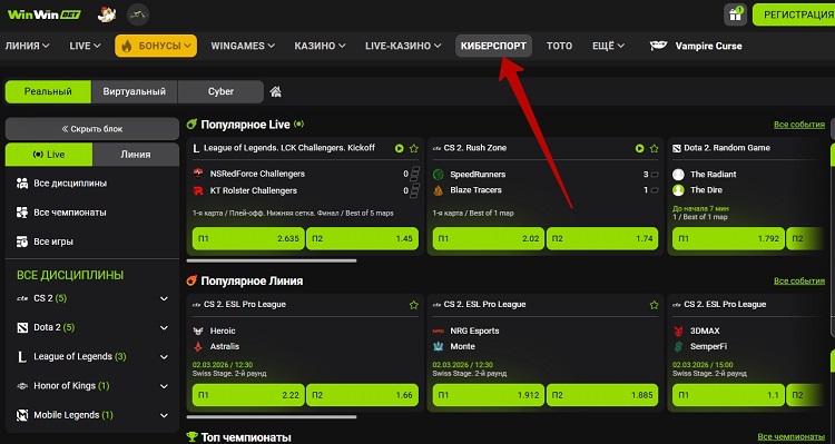Киберспорт