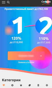 Для смартфонов создана урезанная версия сайта