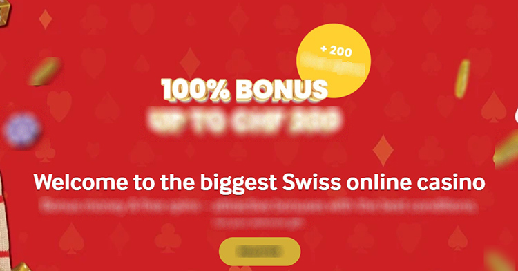 Бонусная программа