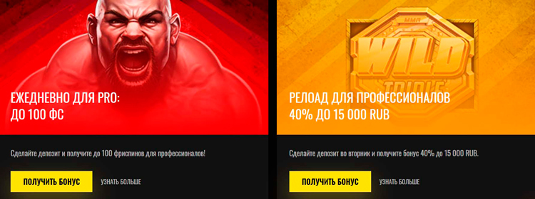 Регулярные бонусы для профессионалов