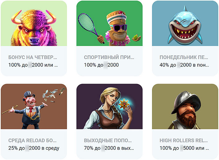 Разнообразие специальных предложений