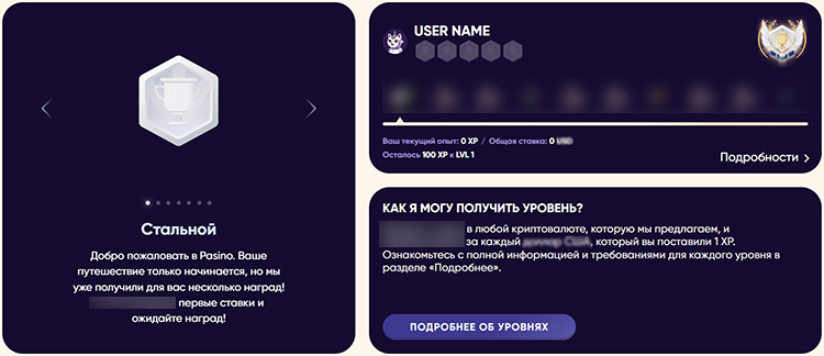 VIP-программа