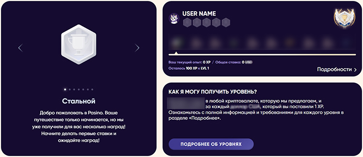 VIP-программа