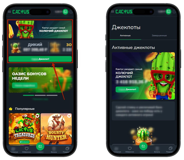 Джекпот в казино Кактус