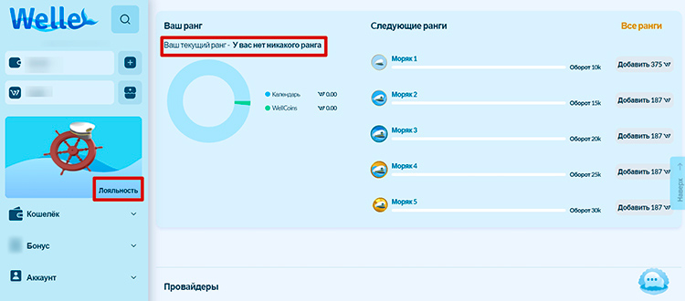 VIP-уровень