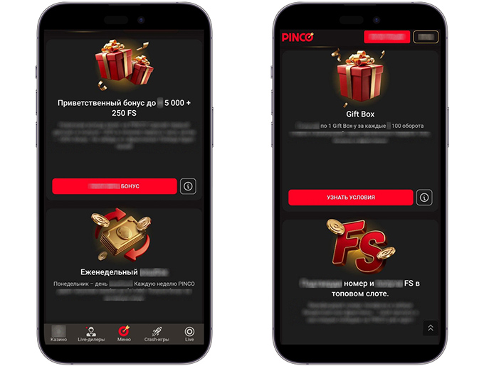 Бонусная программа