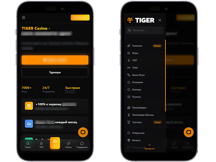 Оформление Tiger Casino