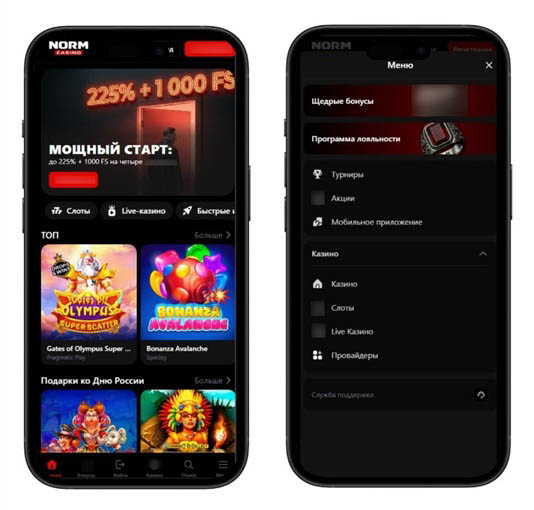 Обзор NormCasino
