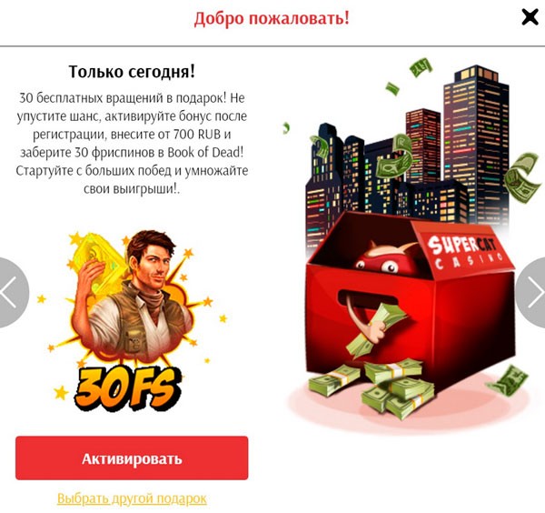 Бонусное предложение для новичка