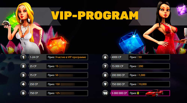 Описание VIP программы