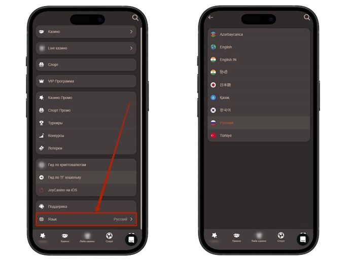 Меню выбора языка