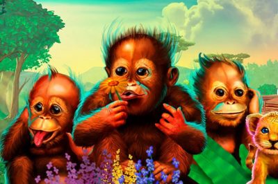 Monkey see, Monkey hear, Monkey speak!