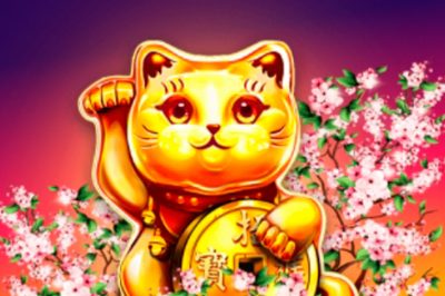 Денежный кот