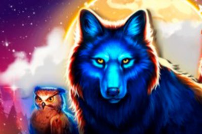 Предвыпуск Black Wolf