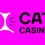 пользователь 