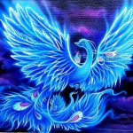 пользователь 