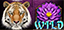 Тигр, Цветок (Wild) в Diamond Heat Bengal's Treasure