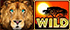 Лев, Дерево (Wild) в Diamond Heat Savannah's Treasures