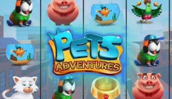 Pets Adventures Pets Adventures