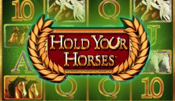 Hold Your Horses Hold Your Horses