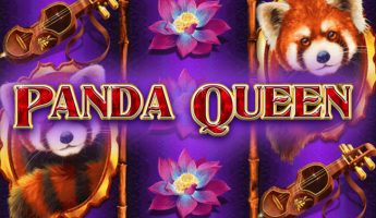 Panda Queen Panda Queen