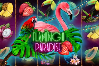Flamingo Paradise