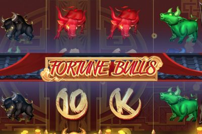 Fortune Bulls
