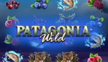 Patagonia Wild