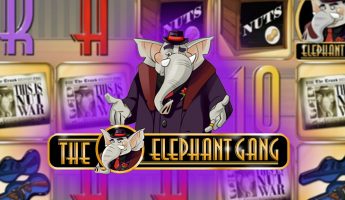 The Elephant Gang