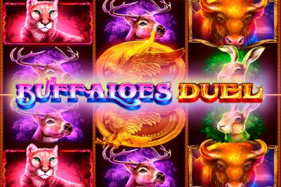Buffaloes Duel