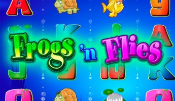 Frogs ‘n Flies