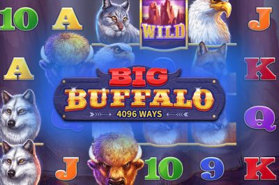 Big Buffalo