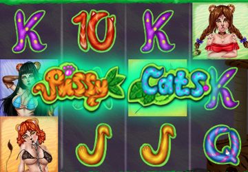 Pussy Cats