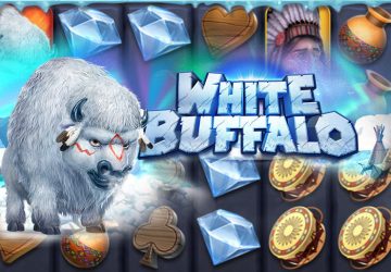 White Buffalo