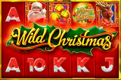 Wild Christmas