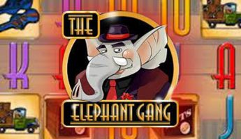 The Elephant Gang