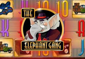 The Elephant Gang