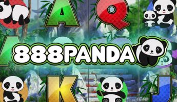 888 Panda 888 Panda