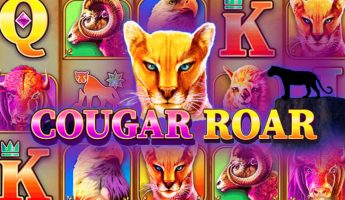 Cougar Roar Cougar Roar