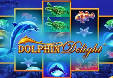 Dolphin Delight