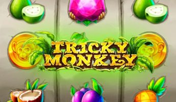 Tricky Monkey